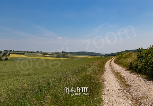 #1506115733 - crédit Nadège PETIT @agri zoom