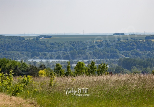 #1506115763 - crédit Nadège PETIT @agri zoom