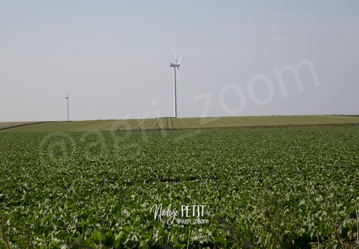 #1506115783 - crédit Nadège PETIT @agri zoom