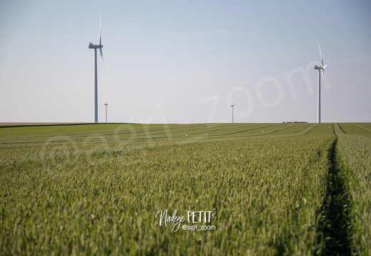 #1506115792 - crédit Nadège PETIT @agri zoom