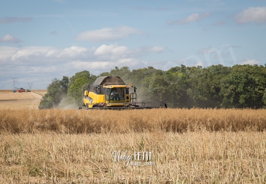 #1507171417 - crédit Nadège PETIT @agri zoom