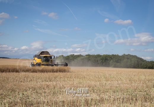 #1507171420 - crédit Nadège PETIT @agri zoom