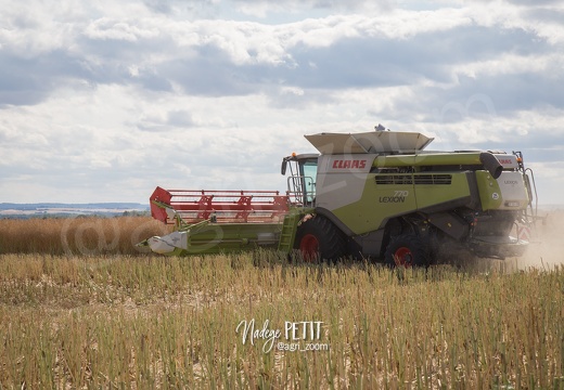 #1507171430 - crédit Nadège PETIT @agri zoom