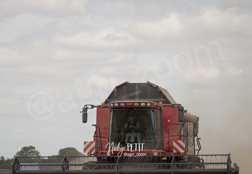 #1507231892 - crédit Nadège PETIT @agri zoom