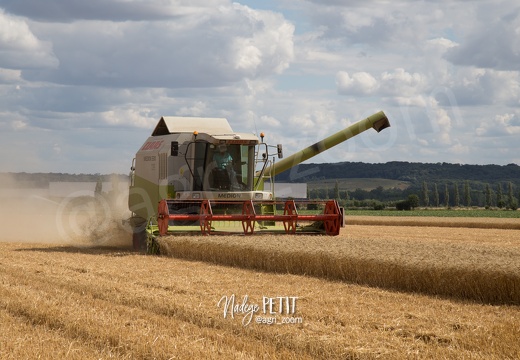 #1507302304 - crédit Nadège PETIT @agri zoom