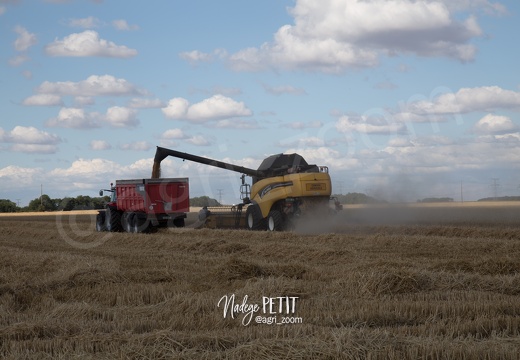 #1507302341 - crédit Nadège PETIT @agri zoom