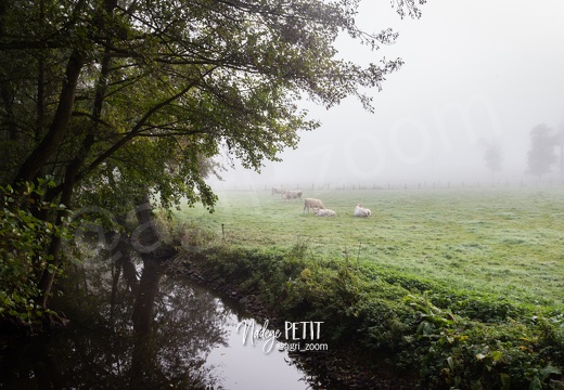 #1611014800 - crédit Nadège PETIT @agri zoom