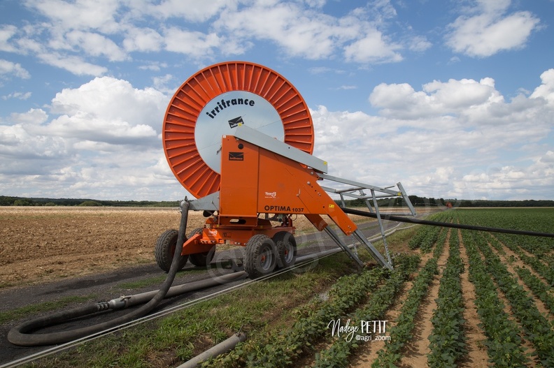 #1507302272 - crédit Nadège PETIT @agri zoom - #1507302272 - crédit Nadège PETIT @agri_zoom.jpg #1507302272 - crédit Nadège PETIT @agri_zoom.jpg