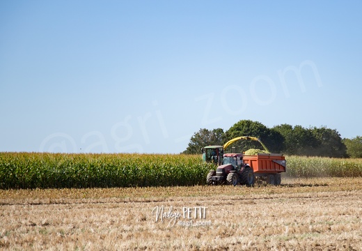 #1609093083 - crédit Nadège PETIT @agri zoom