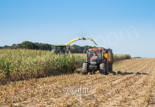 #1609093091 - crédit Nadège PETIT @agri zoom