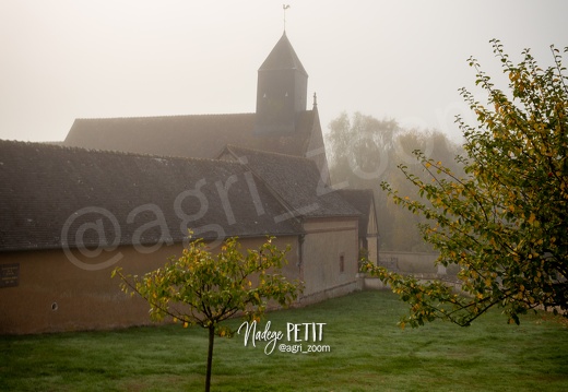 #1611014803 - crédit Nadège PETIT @agri zoom