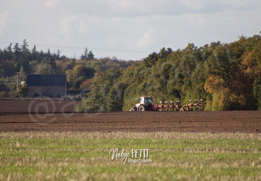 #1610173979 - crédit Nadège PETIT @agri zoom