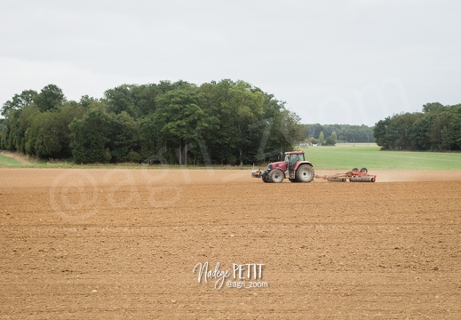 #1709073011 - crédit Nadège PETIT @agri zoom