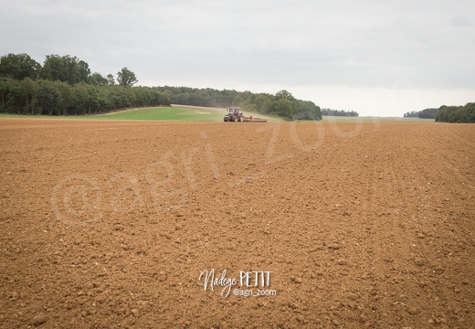 #1709073021 - crédit Nadège PETIT @agri zoom