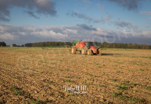 #1710123820 - crédit Nadège PETIT @agri zoom