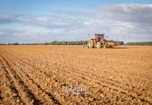 #1710123841 - crédit Nadège PETIT @agri zoom