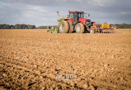 #1710123844 - crédit Nadège PETIT @agri zoom