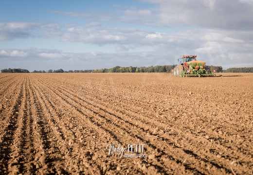 #1710123857 - crédit Nadège PETIT @agri zoom