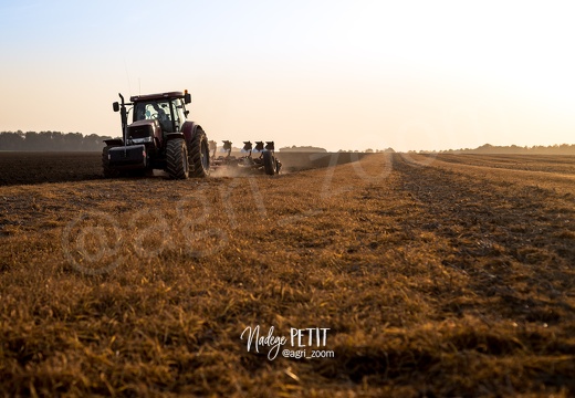 #1710174040 - crédit Nadège PETIT @agri zoom