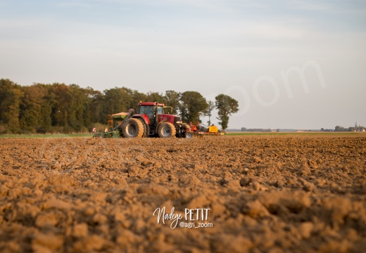 #1710174068 - crédit Nadège PETIT @agri zoom