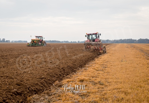 #1710184160 - crédit Nadège PETIT @agri zoom