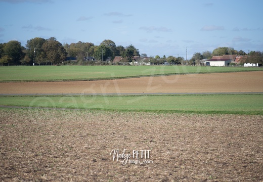 #1710204237 - crédit Nadège PETIT @agri zoom