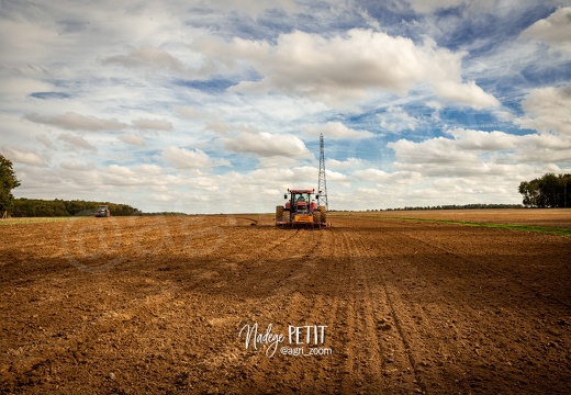 #1910119899 - crédit Nadège PETIT @agri zoom