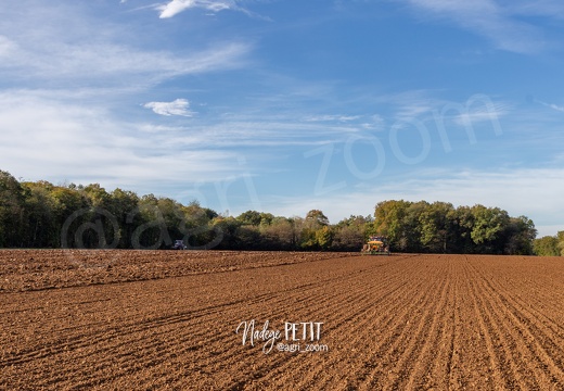 #1910260179 - crédit Nadège PETIT @agri zoom