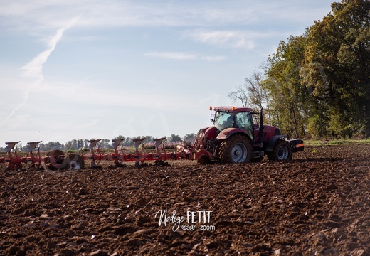 #1910260194 - crédit Nadège PETIT @agri zoom