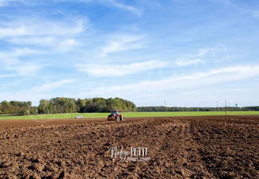 #1910260257 - crédit Nadège PETIT @agri zoom