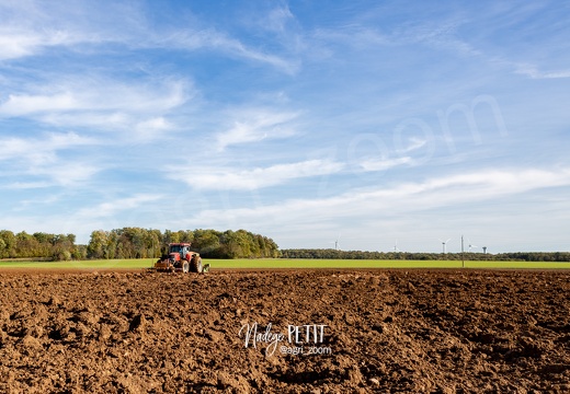 #1910260260 - crédit Nadège PETIT @agri zoom
