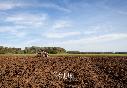 #1910260261 - crédit Nadège PETIT @agri zoom