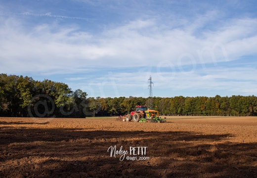 #1910260266 - crédit Nadège PETIT @agri zoom