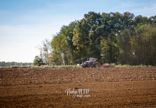 #1910260344 - crédit Nadège PETIT @agri zoom