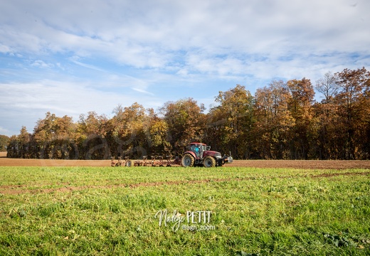 #2011098008 - crédit Nadège PETIT @agri zoom