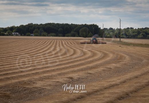 #1507131303 - crédit Nadège PETIT @agri zoom