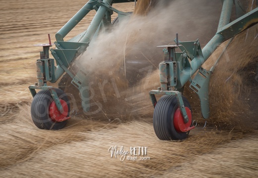 #1507131324 - crédit Nadège PETIT @agri zoom