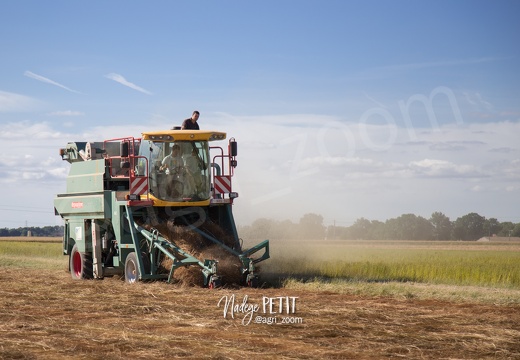 #1607090743 - crédit Nadège PETIT @agri zoom