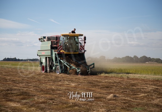 #1607090744 - crédit Nadège PETIT @agri zoom