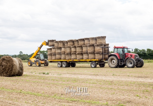 #1707281542 - crédit Nadège PETIT @agri zoom