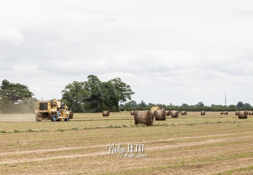 #1707281543 - crédit Nadège PETIT @agri zoom