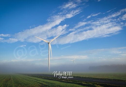 Matin d'automne sous les éoliennes