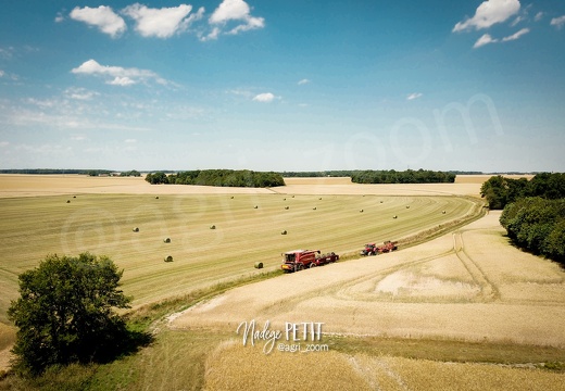 En route pour la moisson