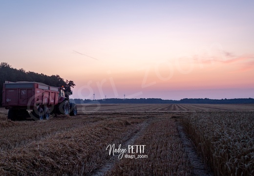 Un matin de moisson