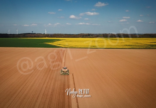 Semis du lin de printemps