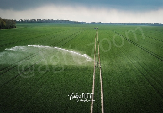 Irrigation