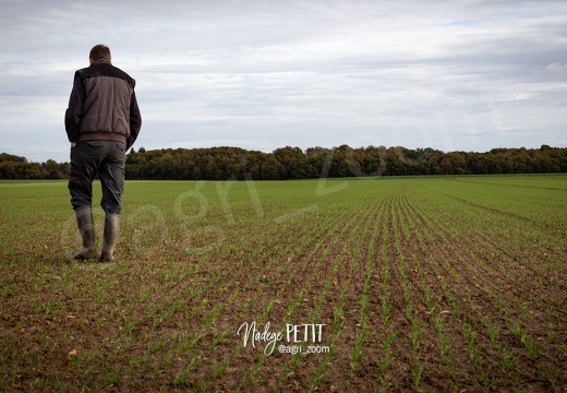 #1611104973 - crédit Nadège PETIT @agri zoom