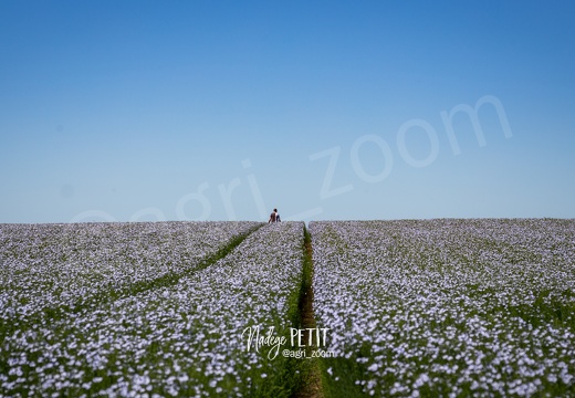 #1706109657 - crédit Nadège PETIT @agri zoom