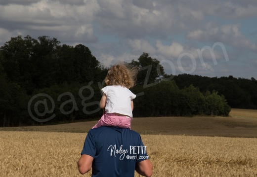 #1707020619 - crédit Nadège PETIT @agri zoom