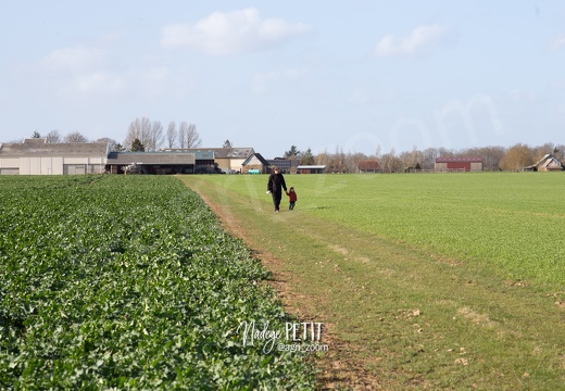 #1903107330 - crédit Nadège PETIT @agri zoom